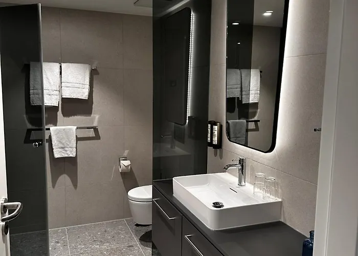 明斯特城市酒店 酒店 3*